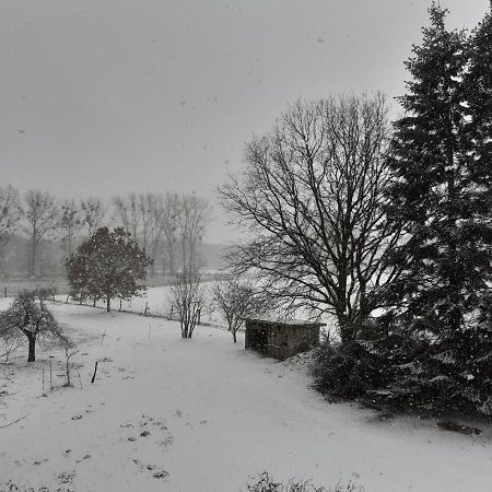 Ferienwohnung Ehemalige Revierfoersterei "Morgensuenn" Kuhstorf Экстерьер фото