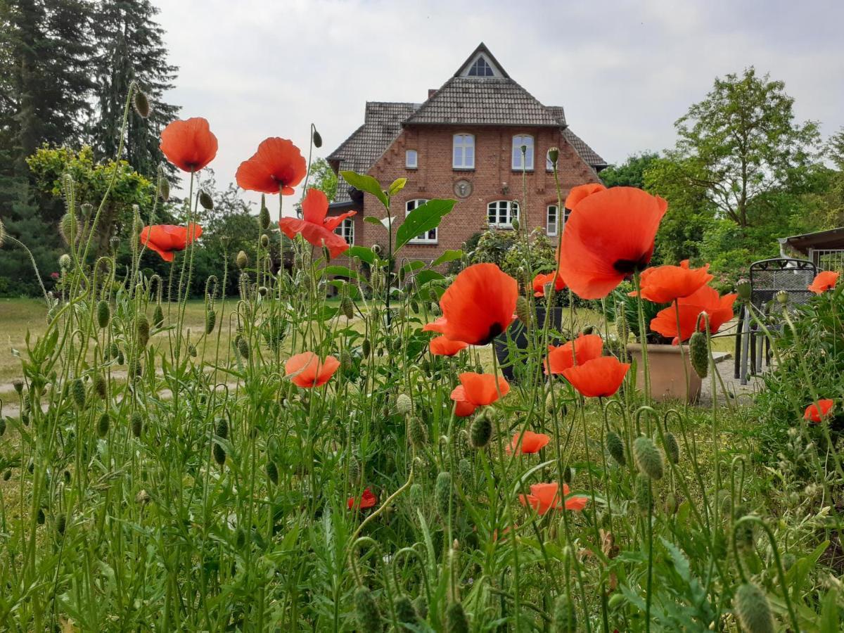 Ferienwohnung Ehemalige Revierfoersterei "Morgensuenn" Kuhstorf Экстерьер фото